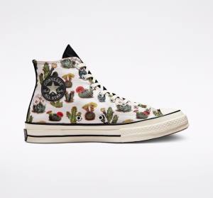 Converse Chuck 70 Succulents High Tops Shoes Black | CV-123ASG