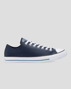 Converse Chuck Taylor All Star Summer Daze SL Low Tops Shoes Blue | CV-978BMG