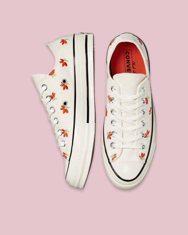 Converse Chuck 70 Embroidered Garden Party Low Tops Shoes Beige | CV-459PXM