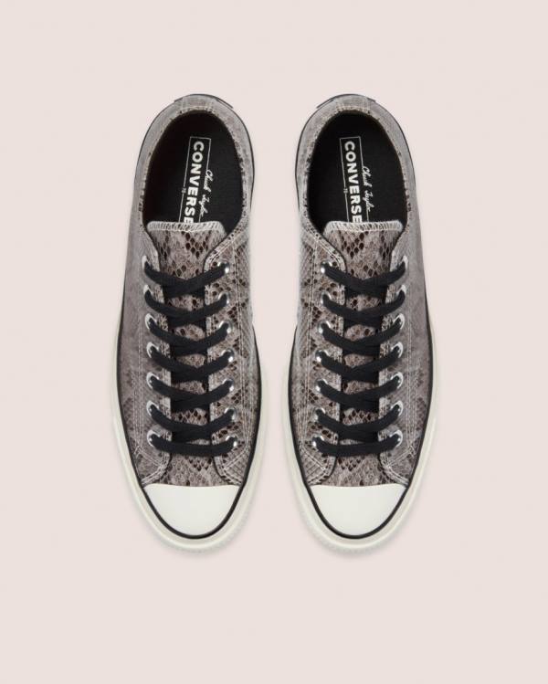 Converse Chuck 70 Reptile Suede Low Tops Shoes Grey | CV-260UHV