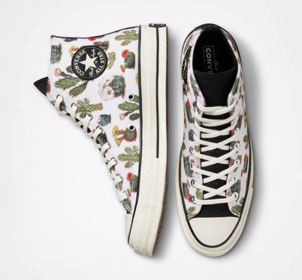 Converse Chuck 70 Succulents High Tops Shoes Black | CV-491KHT