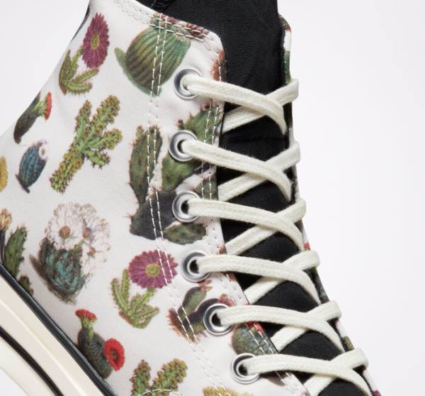 Converse Chuck 70 Succulents High Tops Shoes Black | CV-491KHT