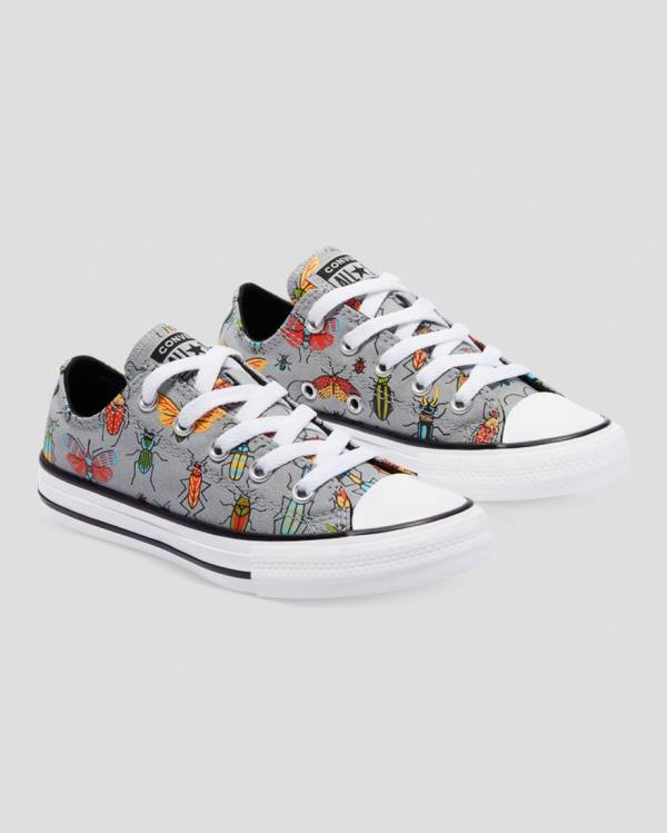 Converse Chuck Taylor All Star Bugged Out Low Tops Shoes Grey | CV-701ONU