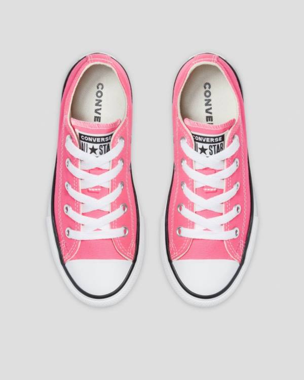 Converse Chuck Taylor All Star Seasonal Colour Low Tops Shoes Pink | CV-153XQW