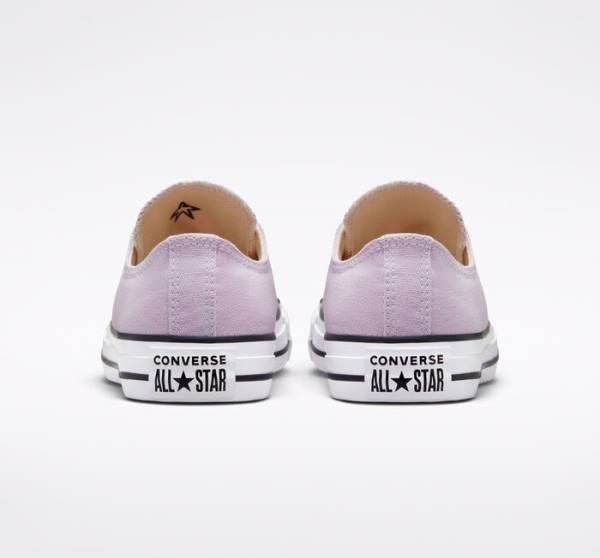 Converse Chuck Taylor All Star Seasonal Color Low Tops Shoes Lavender | CV-165OAT