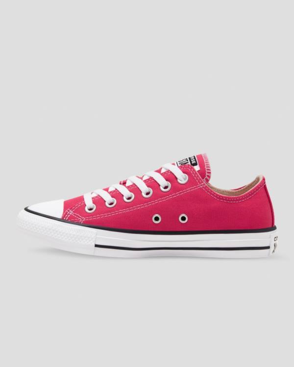 Converse Chuck Taylor All Star Seasonal Colour Low Tops Shoes Pink | CV-328FUQ