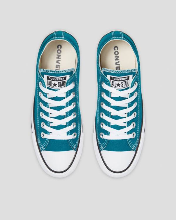 Converse Chuck Taylor All Star Seasonal Low Tops Shoes Blue | CV-394MIH