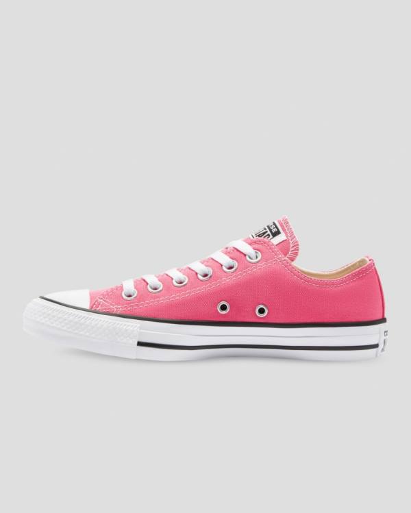 Converse Chuck Taylor All Star Seasonal Colour Low Tops Shoes Pink | CV-540RFI