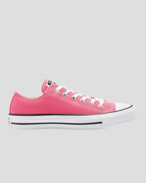 Converse Chuck Taylor All Star Seasonal Colour Low Tops Shoes Pink | CV-713FNW