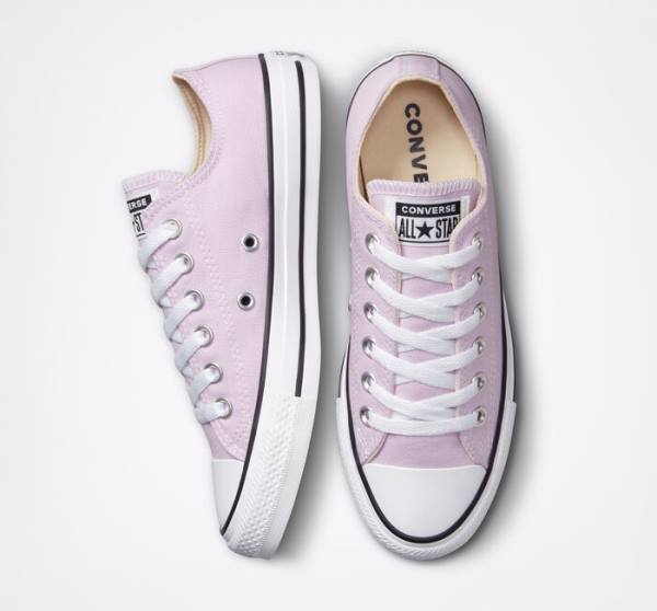 Converse Chuck Taylor All Star Seasonal Color Low Tops Shoes Lavender | CV-794UEB