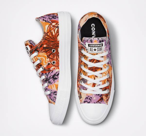 Converse Chuck Taylor All Star Tropical Florals Low Tops Shoes Orange / Black / White | CV-527KPD